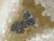 goethite